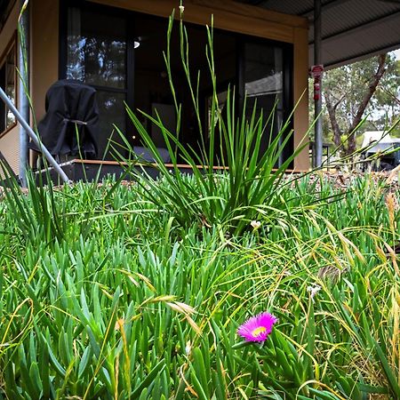 Belair National Park Holiday Park Esterno foto