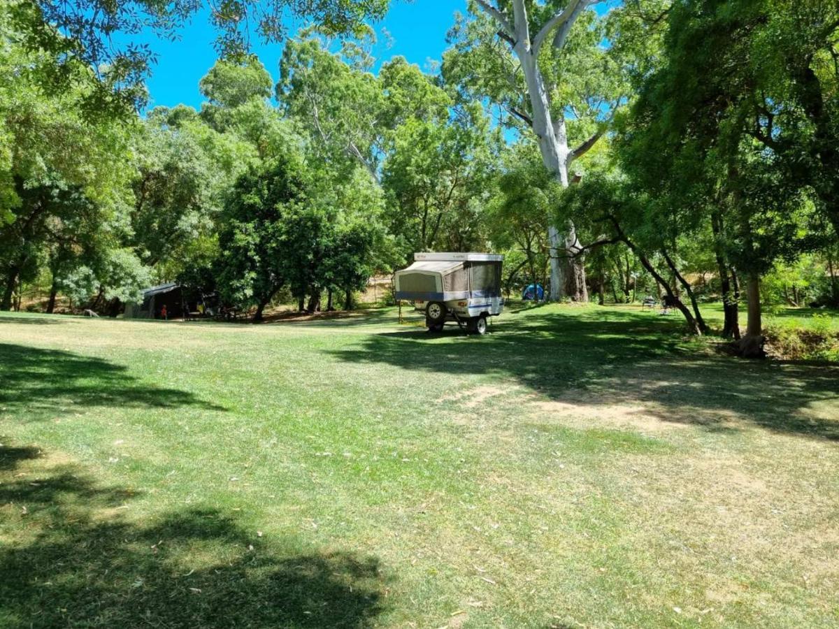 Belair National Park Holiday Park Esterno foto