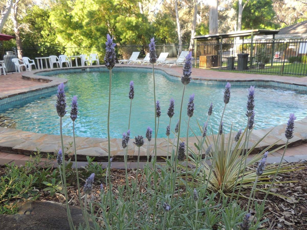 Belair National Park Holiday Park Esterno foto