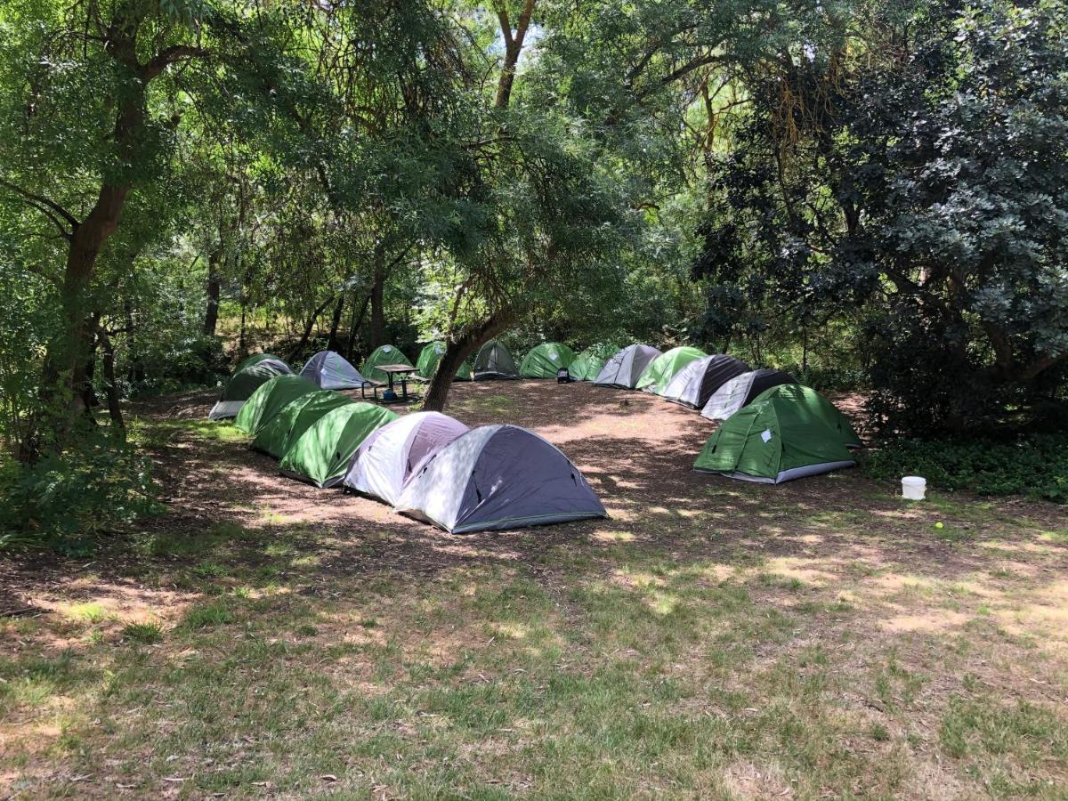 Belair National Park Holiday Park Esterno foto