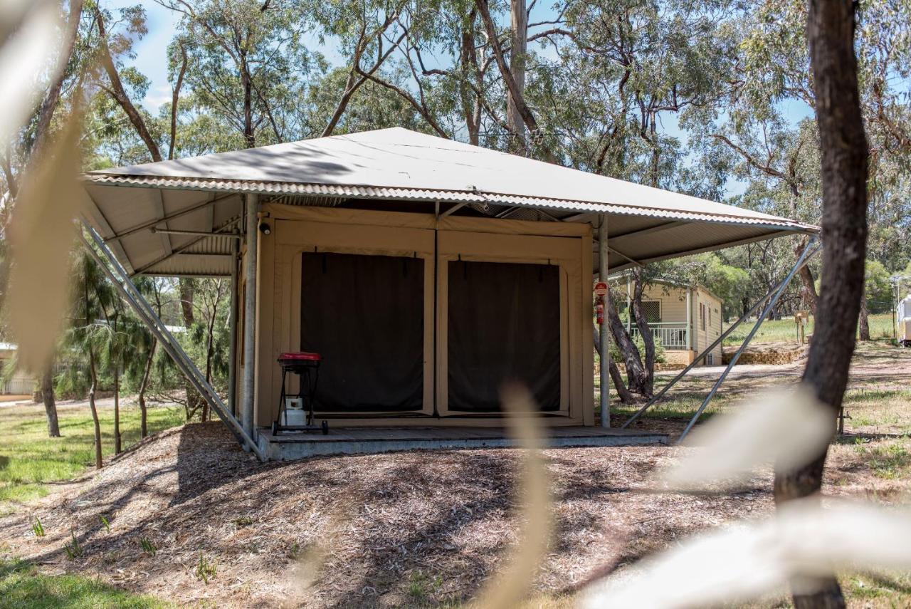 Belair National Park Holiday Park Esterno foto
