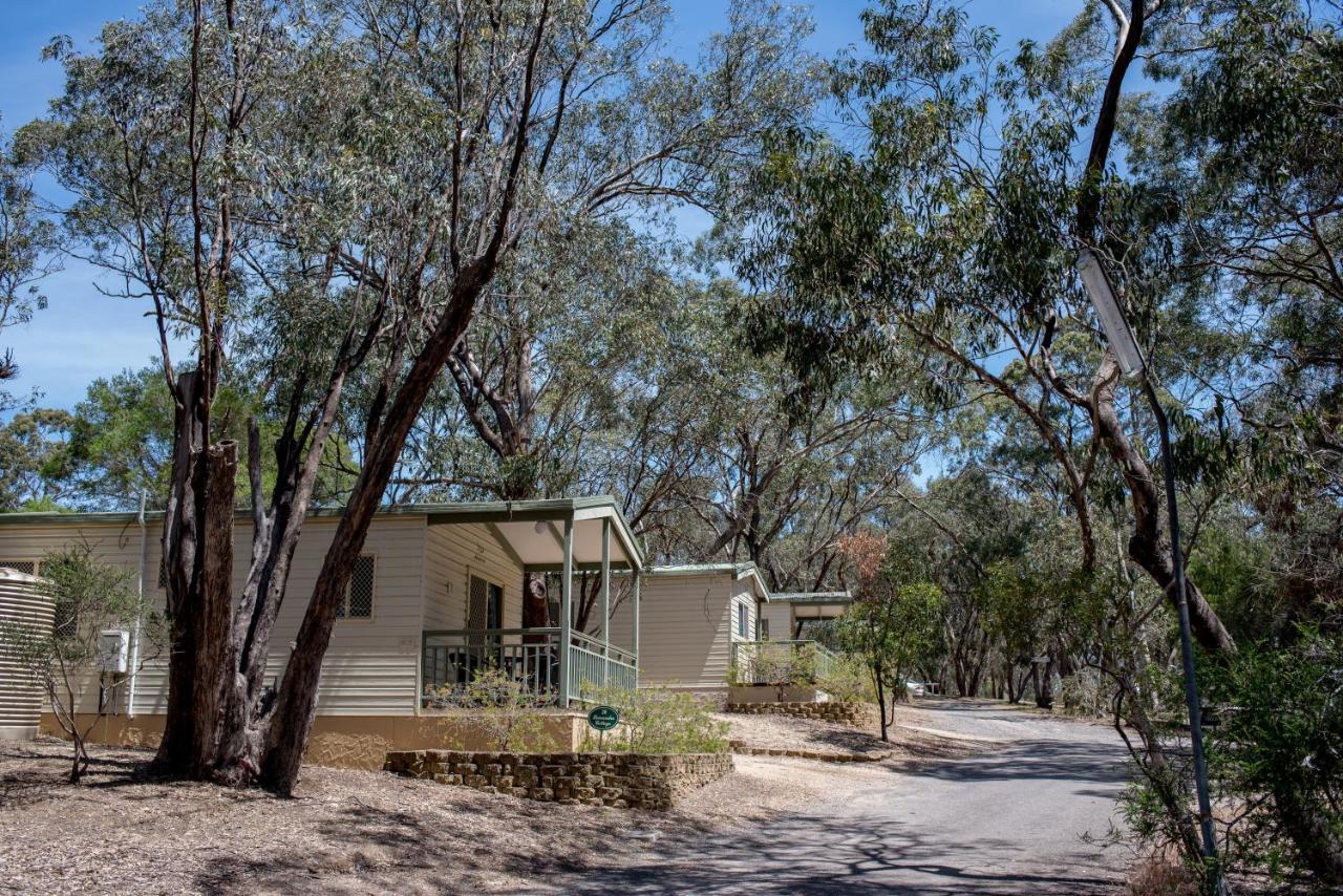 Belair National Park Holiday Park Esterno foto