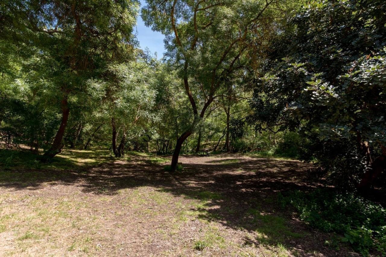 Belair National Park Holiday Park Esterno foto